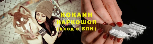мяу мяу мука Алексин