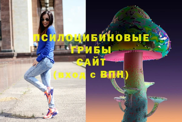 молекула духа Алзамай