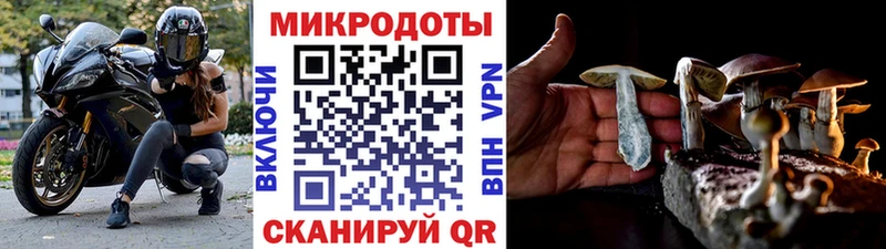где можно купить   blacksprut ССЫЛКА  Галлюциногенные грибы мухоморы  Анжеро-Судженск 