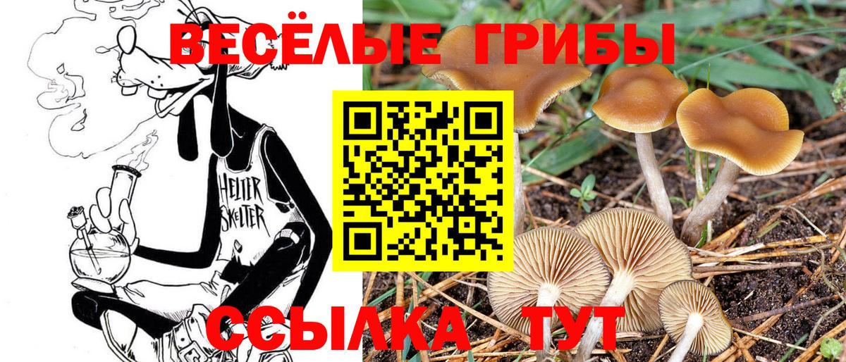 купить закладку  Вход с VPN  Анжеро-Судженск  Галлюциногенные грибы Magic Shrooms 